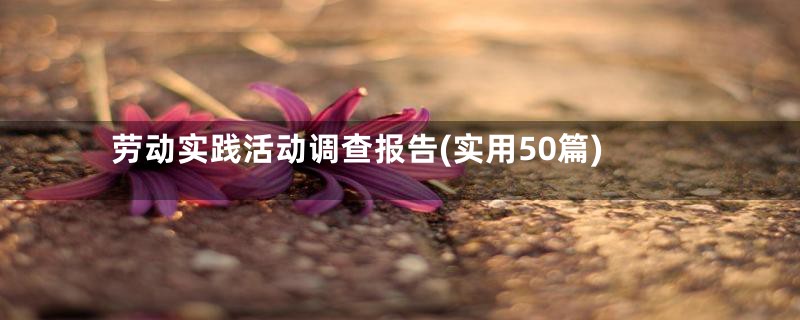 劳动实践活动调查报告(实用50篇)