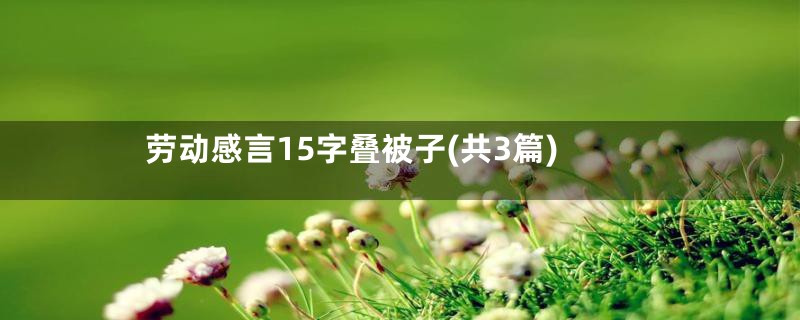 劳动感言15字叠被子(共3篇)