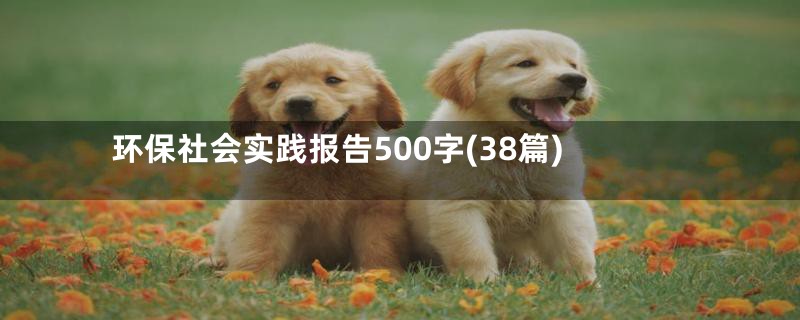 环保社会实践报告500字(38篇)