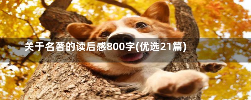 关于名著的读后感800字(优选21篇)