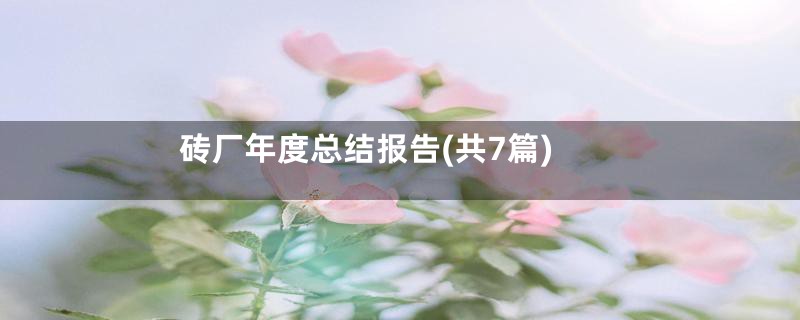 砖厂年度总结报告(共7篇)