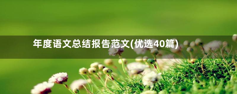 年度语文总结报告范文(优选40篇)