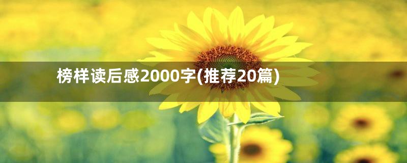 榜样读后感2000字(推荐20篇)