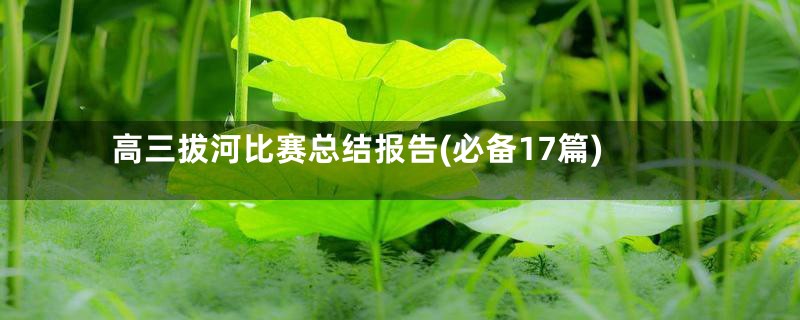 高三拔河比赛总结报告(必备17篇)