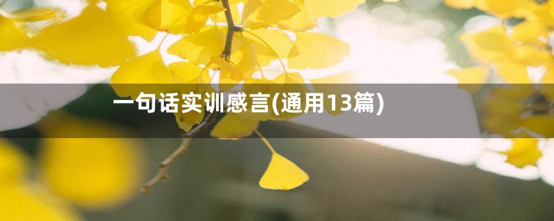 一句话实训感言(通用13篇)