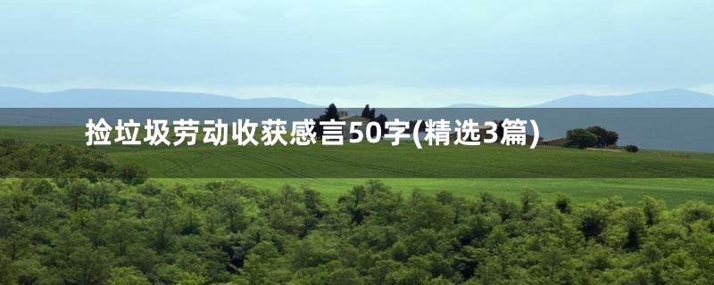 捡垃圾劳动收获感言50字(精选3篇)