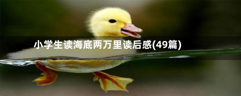 小学生读海底两万里读后感(49篇)