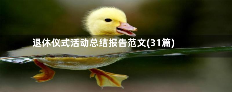 退休仪式活动总结报告范文(31篇)