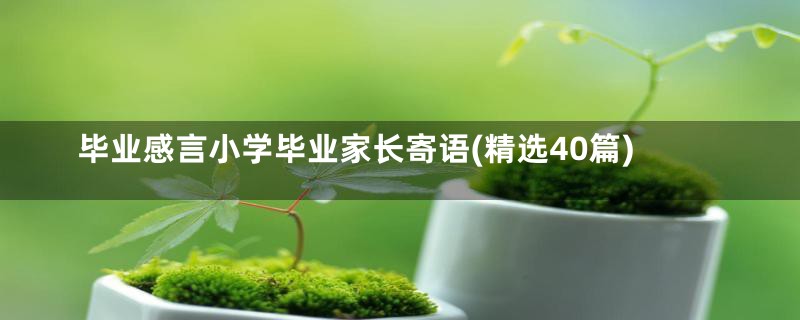 毕业感言小学毕业家长寄语(精选40篇)