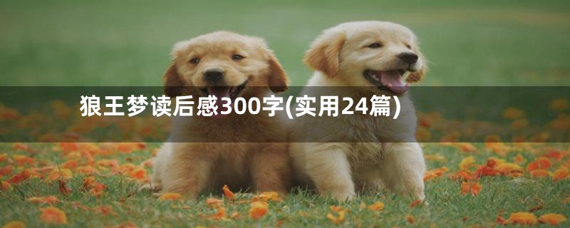 狼王梦读后感300字(实用24篇)