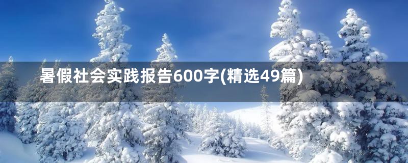 暑假社会实践报告600字(精选49篇)