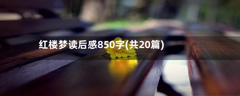 红楼梦读后感850字(共20篇)