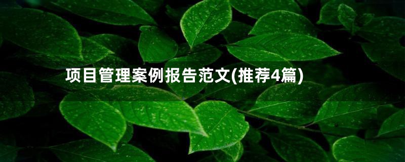 项目管理案例报告范文(推荐4篇)