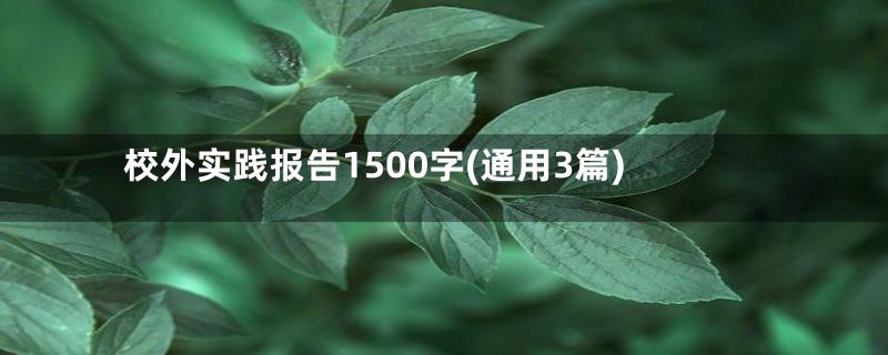 校外实践报告1500字(通用3篇)