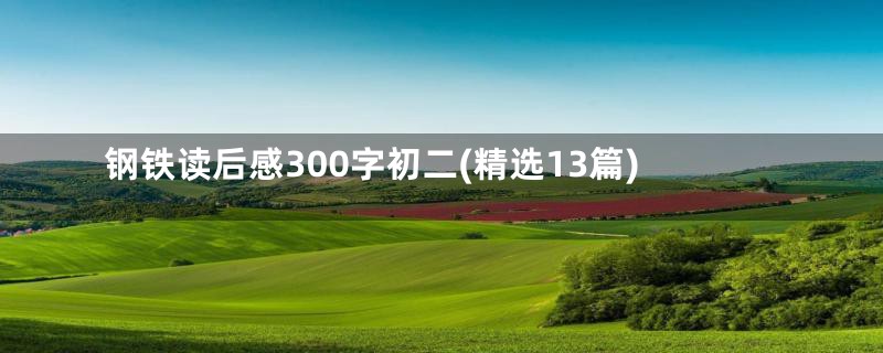 钢铁读后感300字初二(精选13篇)