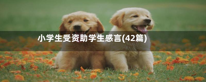 小学生受资助学生感言(42篇)