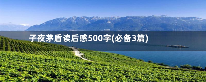 子夜茅盾读后感500字(必备3篇)