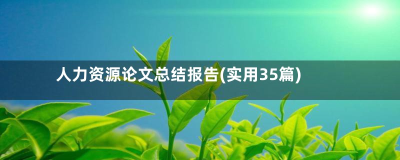 人力资源论文总结报告(实用35篇)