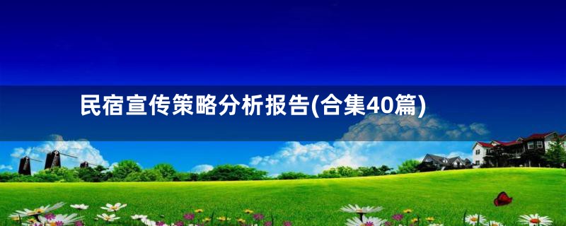 民宿宣传策略分析报告(合集40篇)