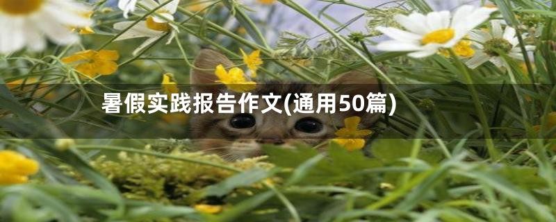 暑假实践报告作文(通用50篇)