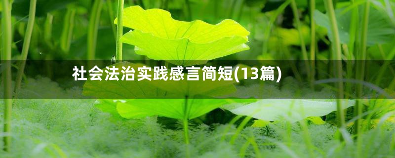 社会法治实践感言简短(13篇)