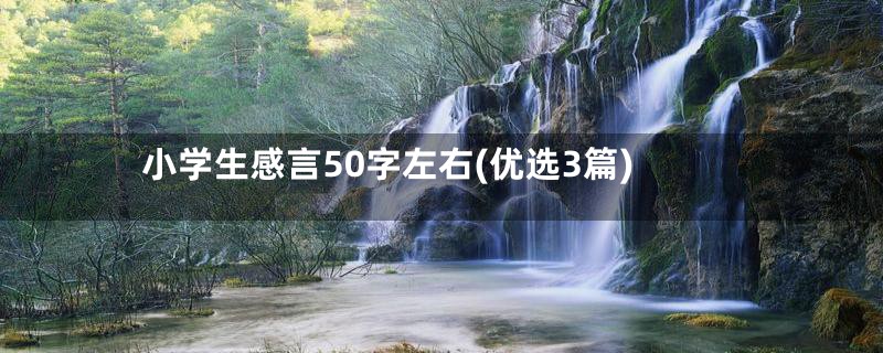 小学生感言50字左右(优选3篇)