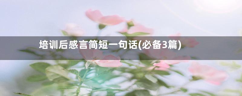 培训后感言简短一句话(必备3篇)