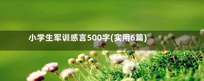 小学生军训感言500字(实用6篇)