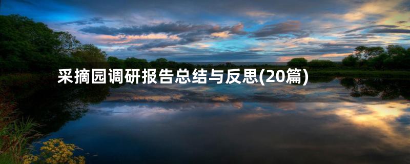 采摘园调研报告总结与反思(20篇)