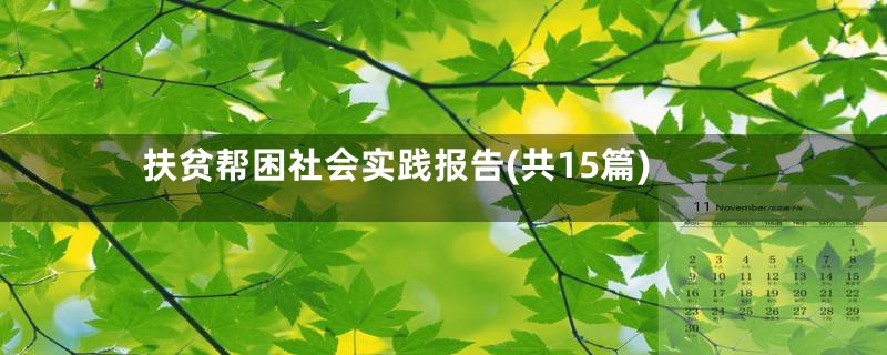 扶贫帮困社会实践报告(共15篇)