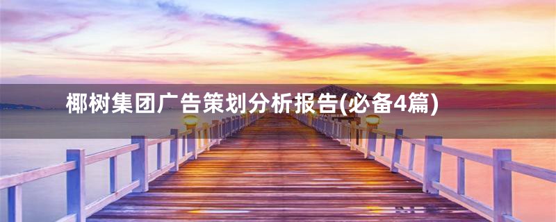 椰树集团广告策划分析报告(必备4篇)