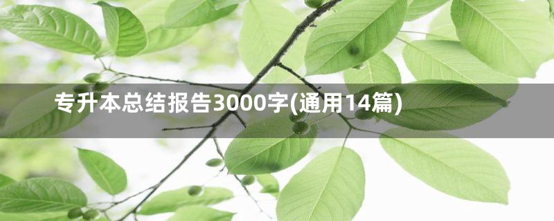 专升本总结报告3000字(通用14篇)