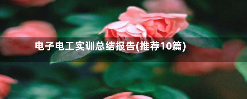 电子电工实训总结报告(推荐10篇)