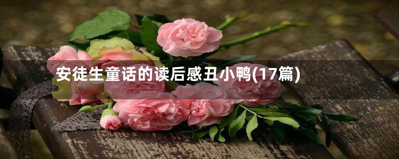 安徒生童话的读后感丑小鸭(17篇)