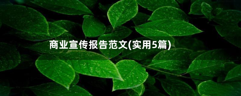 商业宣传报告范文(实用5篇)