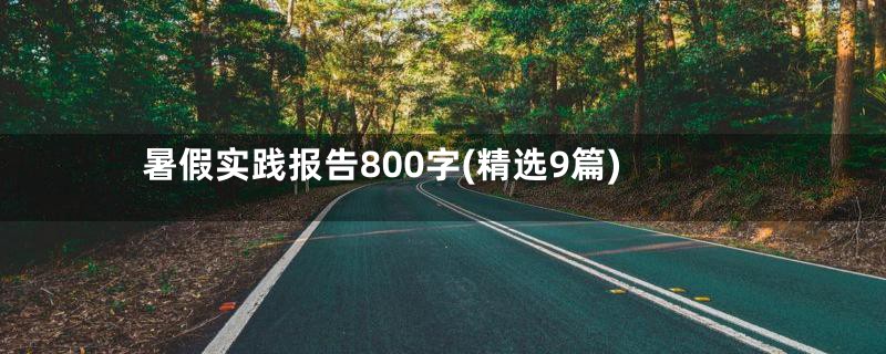 暑假实践报告800字(精选9篇)