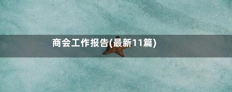 商会工作报告(最新11篇)