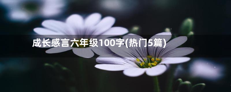 成长感言六年级100字(热门5篇)