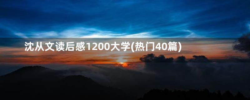 沈从文读后感1200大学(热门40篇)