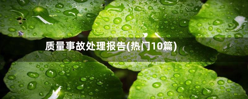 质量事故处理报告(热门10篇)