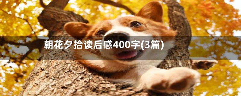 朝花夕拾读后感400字(3篇)