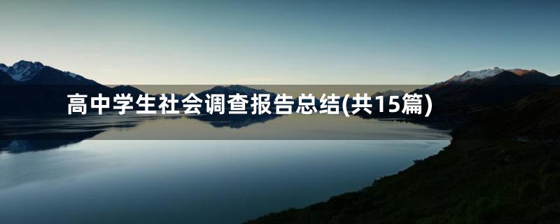 高中学生社会调查报告总结(共15篇)