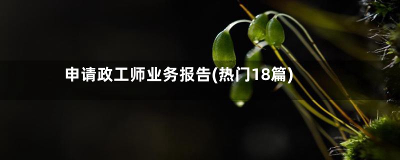 申请政工师业务报告(热门18篇)