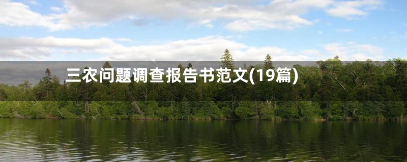 三农问题调查报告书范文(19篇)