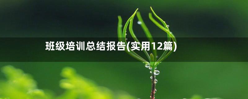 班级培训总结报告(实用12篇)