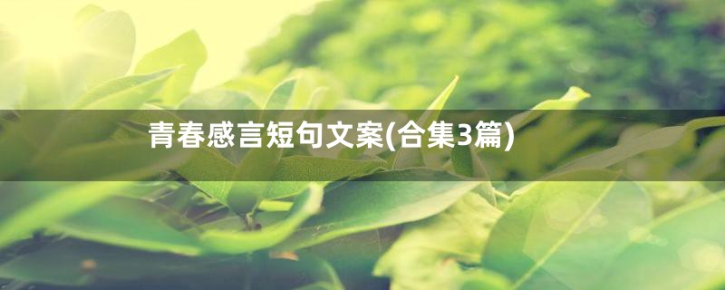 青春感言短句文案(合集3篇)