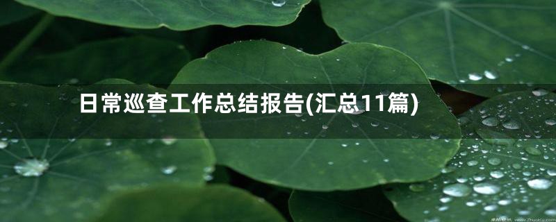 日常巡查工作总结报告(汇总11篇)