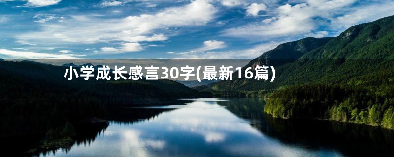 小学成长感言30字(最新16篇)