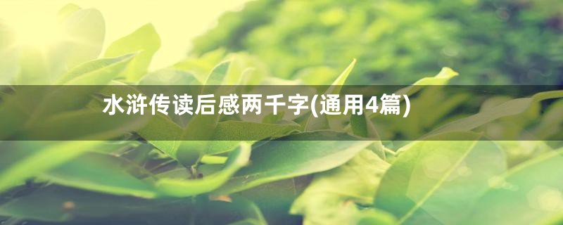 水浒传读后感两千字(通用4篇)