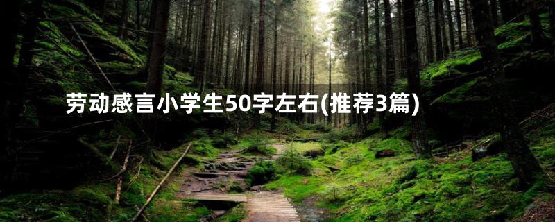 劳动感言小学生50字左右(推荐3篇)